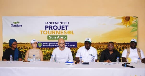 Côte d’Ivoire : Diawala accueille un projet pilote pour structurer une filière tournesol